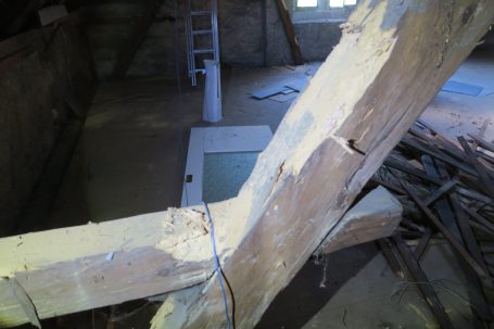 Windbock mit Hausbockschaden